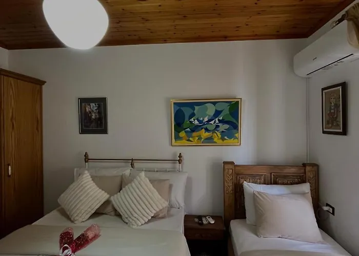 Apartment Andria's Gjirokaster